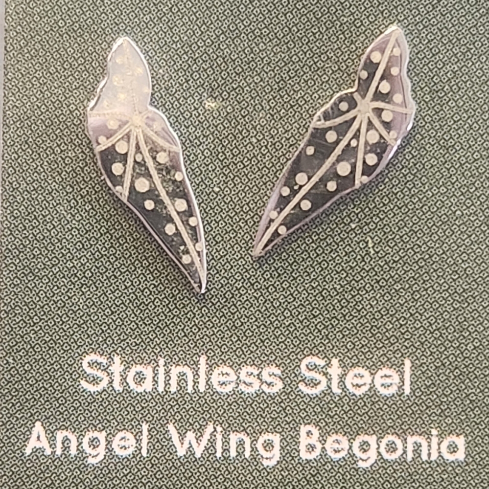 Stainless steel earrings